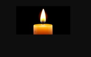 Read more about the article Scott Waghorn Obituary, North Shore NZ Death – Auckland Principal Dentist and Owner Is Dead